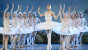 Russian dancers perform "Swan Lake" in China's Ningxia