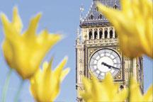 London's Chinese New Year celebration attracts huge crowds