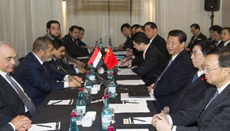 Chinese President Xi meets with Egyptian President Morsi in Durban