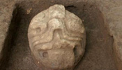 Indigenous stone zoomorphic heads found in San Salvador