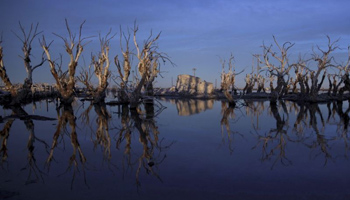 Argentine ghost towntown resurfaces after 25 years under water