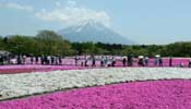 Fuji Mountain likely to be added to UNESCO World Heritage list