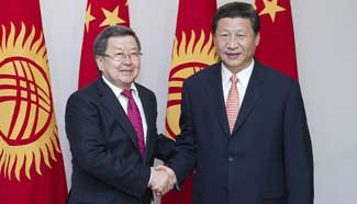 Chinese president meets Kyrgyz PM in Bishkek, Kyrgyzstan