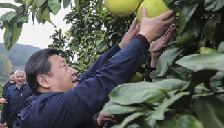 President Xi takes inspection tour to Hunan