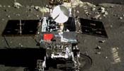 China's moon rover, lander take photos of each other
