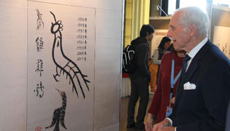 Chinese hieroglyphs exhibition held in Geneva
