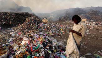 India marks World Environment Day