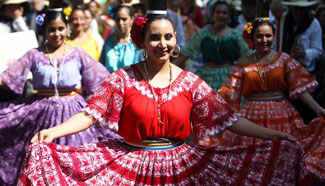 Annual Carnival of Culture festival parades in Berlin