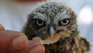 Cute cubs at Antalya Zoo in Turkey