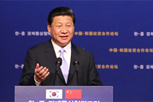 Chinese FM: Xi Jinping's visit a new milestone in ties