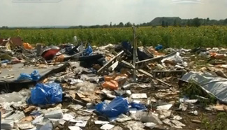 Netherlands to take lead in Flight MH17 crash investigation