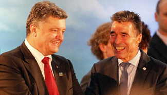 NATO to help Ukraine build "strong" modern army: NATO chief