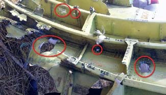 External force causes MH17 crash: Dutch investigators