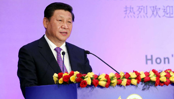 China, India should be partners for peace, development: Xi
