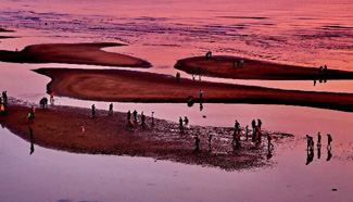 Toursits in N China's Qinhuangdao during National Day holidays