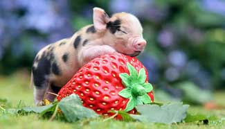 What a wonderful life!