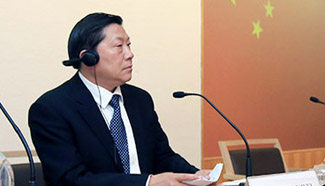 Lu Wei attends Fifth UK-China Internet Roundtable