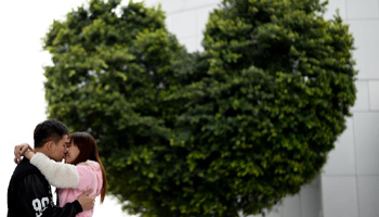 Heart-shaped tree witnesses love on Valentine's Day