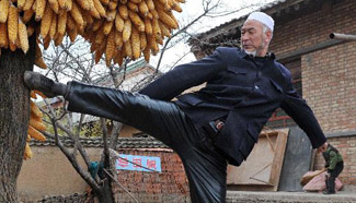 Tajiao Master: Ma Rongtang