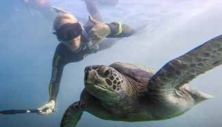 Deep sea selfies with marine animal