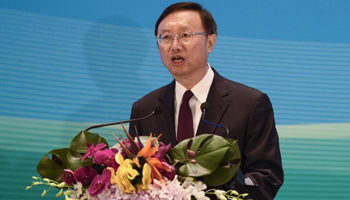 Xinhua Insight: China-CEE cooperation gathers momentum