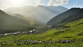 Scenery of Qilian Mountains in NW China's Gansu