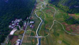 In pics: paddy fields in S China's Guangxi