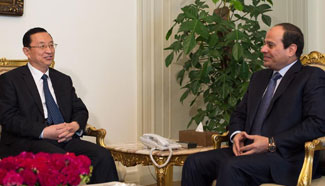 China hopes to boost all-round ties with Egypt: senior official