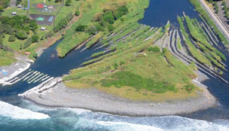 Search for more MH370 debris continues off Reunion