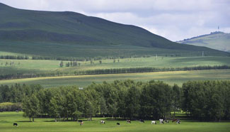 Autumn scenery in N China's Inner Mongolia
