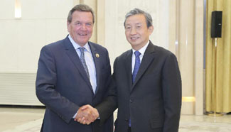 Chinese vice premier meets former German chancellor in Beijing