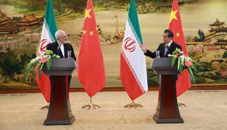 Chinese, Iranian FMs hold talks in Beijing