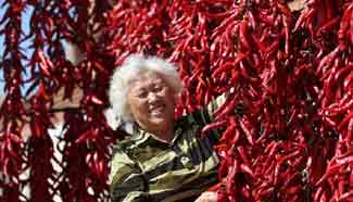 Colorful crops harvested in early Autumn of China