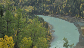 Autumn scenery of Kanas, Xinjiang