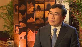 Video: Hot comments on the rule of law concept of Xi Jinping by international scholars