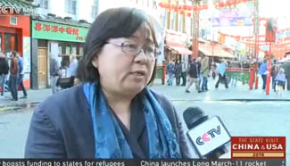 Overseas Chinese encouraged by Xi's speech