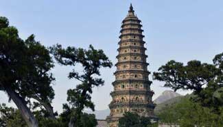 In pics: Feihong Tower in N China's Shanxi