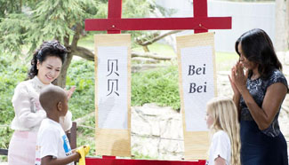 First Ladies reveal panda cub name