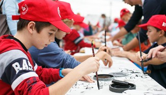 Day of Exploring Chinese Culture and Tradition held in Slovenia