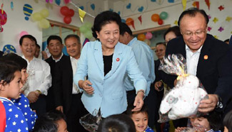 Liu Yandong visits Aksu, Hotan in Xinjiang