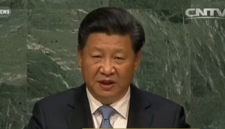 Xi: China committed to peaceful development
