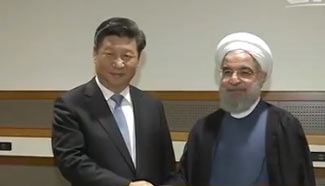 Xi calls for closer cooperation with Iran, Denmark