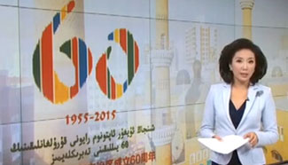 White Paper details Xinjiang anti-terrorism situation