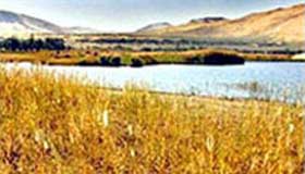 Xinjiang reclaims lands swallowed by Gobi Desert