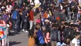 Record crowds seen at major attractions