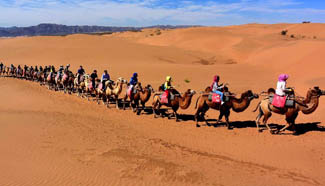 Deserts in NW China attract tourists home and abroad