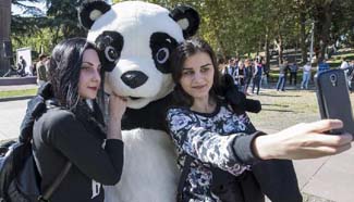 "China Day" celebrated in Tbilisi, capital of Georgia