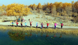 Autumn beauty of populus euphratica forest in China's Gansu