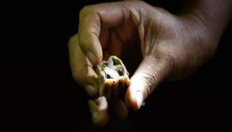 Tooth fossils found in Hunan