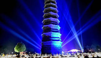 In pics: light projection on "Iron" Pagoda in Kaifeng